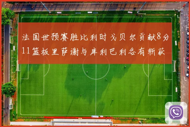 法国世预赛胜比利时戈贝尔贡献8分11篮板里萨谢与库利巴利各有斩获
